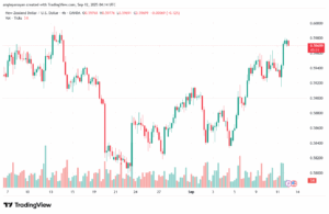 تحليل-NZDUSD-12-9-2025