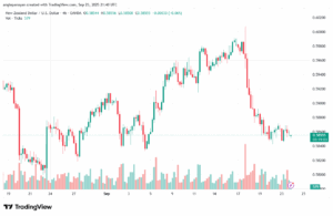 تحليل-NZDUSD-24-9-2025