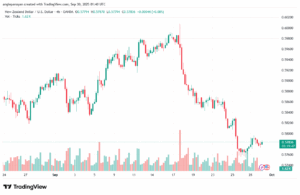 تحليل-NZDUSD-30-9-2025
