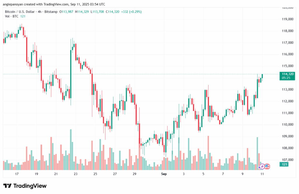تحليل البتكوين دولار BTCUSD-11-9-2025