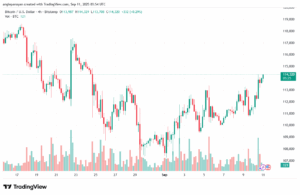 تحليل البتكوين دولار BTCUSD-11-9-2025