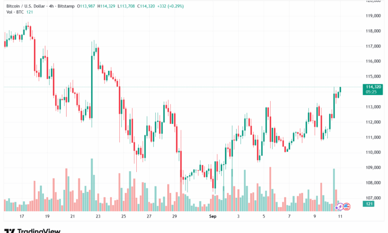 تحليل البتكوين دولار BTCUSD-11-9-2025