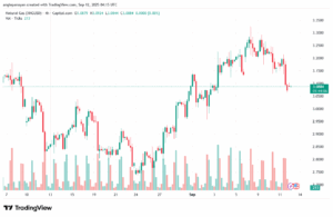 تحليل الغاز الطبيعي NATURAL GAS 12-9-2025