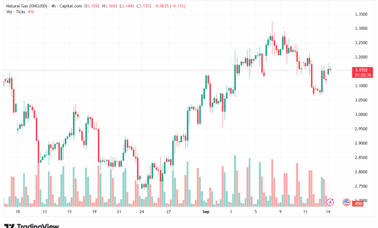 تحليل الغاز الطبيعي NATURAL GAS 15-9-2025