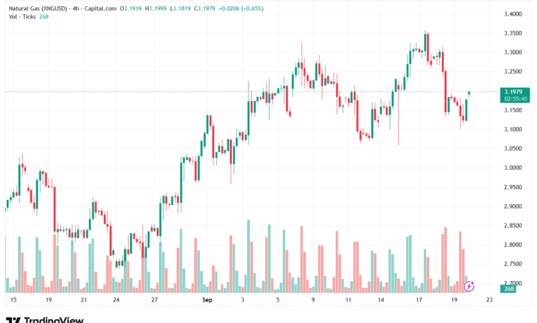 تحليل الغاز الطبيعي NATURAL GAS 22-9-2025