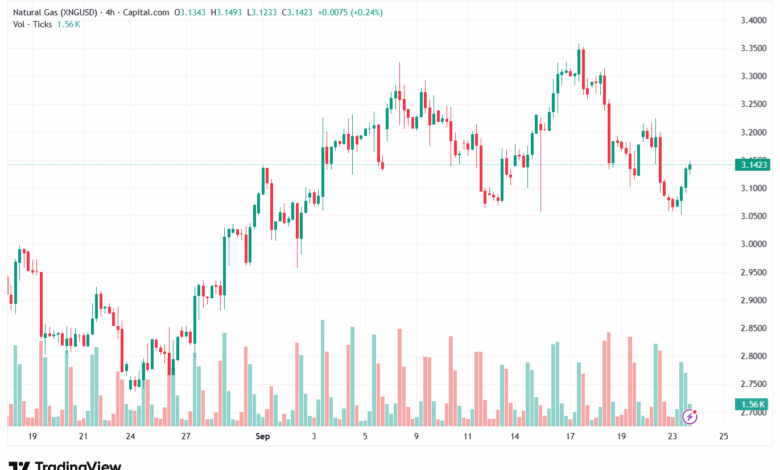 تحليل الغاز الطبيعي NATURAL GAS 24-9-2025