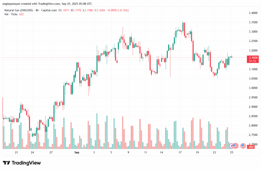 تحليل الغاز الطبيعي NATURAL GAS 25-9-2025