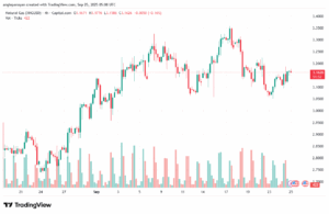 تحليل الغاز الطبيعي NATURAL GAS 25-9-2025