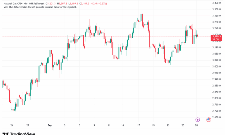 تحليل الغاز الطبيعي NATURAL GAS 29-9-2025