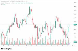 تحليل النفط CRUDE OIL -24-9-2025