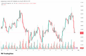 تحليل النفط CRUDE OIL -30-9-2025