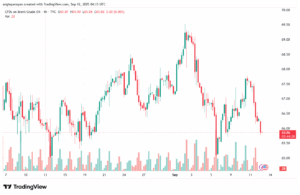 تحليل خام برنت 12-9-2025 BRENT OIL