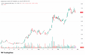 تحليل سهم نيو NIO-29-9-2025