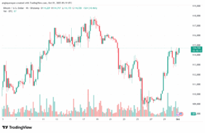 تحليل البتكوين دولار BTCUSD-1-10-2025