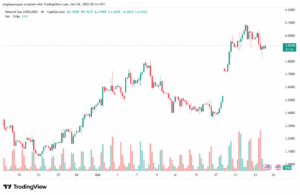 تحليل الغاز الطبيعي NATURAL GAS 24-10-2025