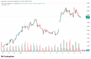 تحليل الغاز الطبيعي NATURAL GAS 29-10-2025