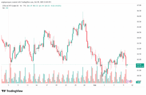تحليل النفط CRUDE OIL -10-10-2025