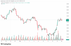 تحليل النفط CRUDE OIL -27-10-2025