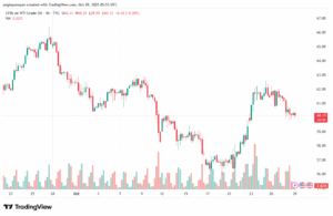 تحليل النفط CRUDE OIL -29-10-2025