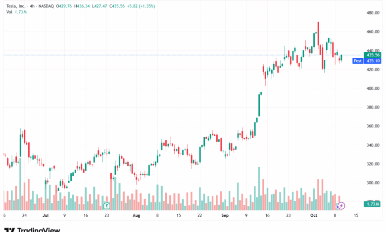 تحليل سهم تسلا الفني TSLA -10-10-2025
