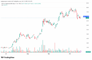 تحليل سهم نيو NIO-16-10-2025