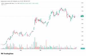 تحليل سهم نيو NIO-24-10-2025