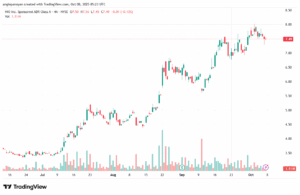 تحليل سهم نيو NIO-8-10-2025