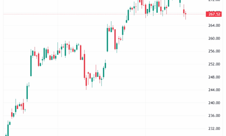 تحليل سهم ابل الفني APPLE-18-11-2025