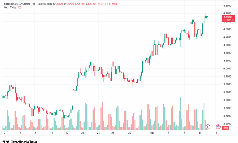 تحليل الغاز الطبيعي NATURAL GAS 12-11-2025