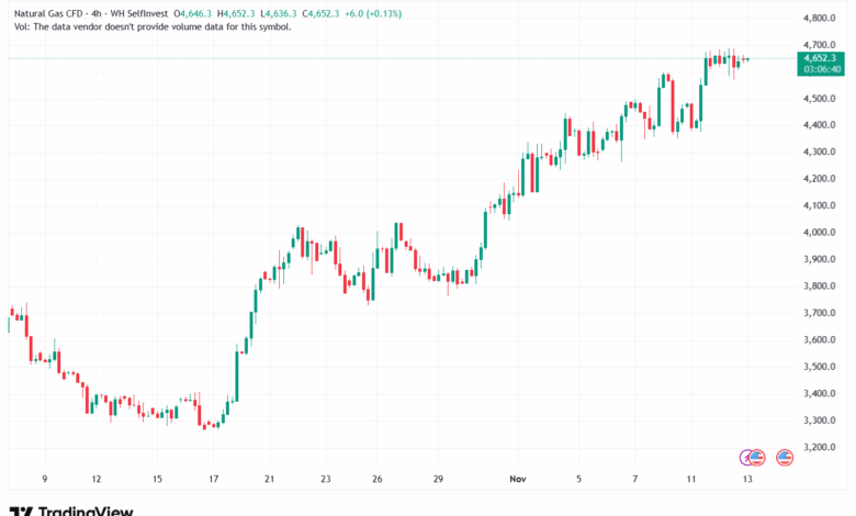 تحليل الغاز الطبيعي NATURAL GAS 13-11-2025