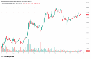 تحليل سهم نيو NIO-6-11-2025