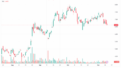 تحليل سهم نيو NIO-12-11-2025