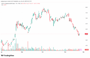 تحليل سهم نيو NIO-24-11-2025
