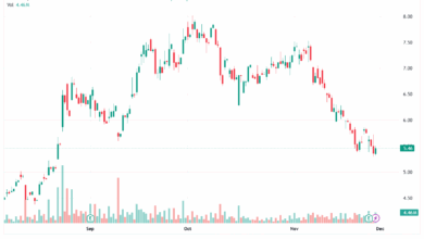 تحليل سهم نيو NIO-27-11-2025