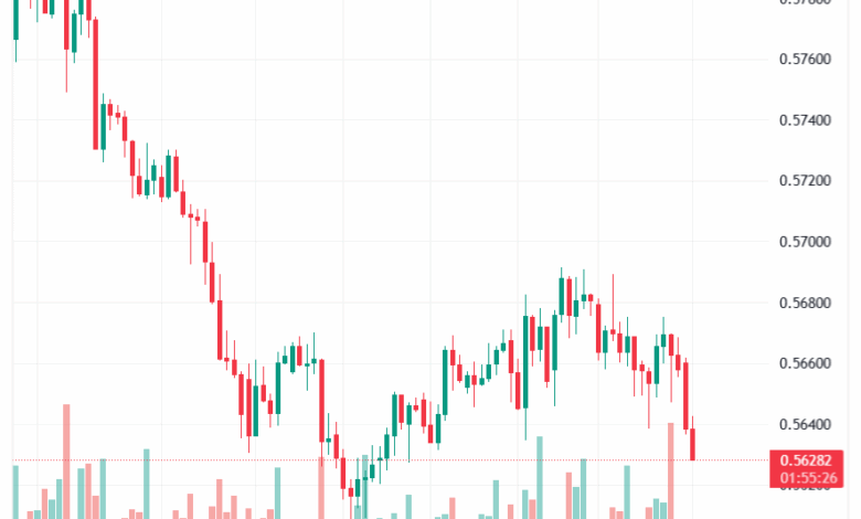 تحليل-NZDUSD-19-11-2025