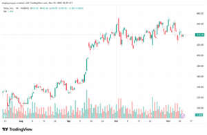 تحليل سهم تسلا الفني TSLA -12-11-2025