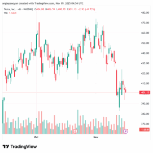 تحليل سهم تسلا الفني TSLA -19-11-2025