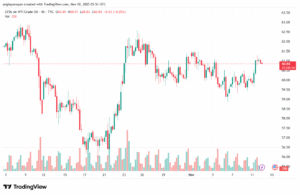 تحليل النفط CRUDE OIL -12-11-2025