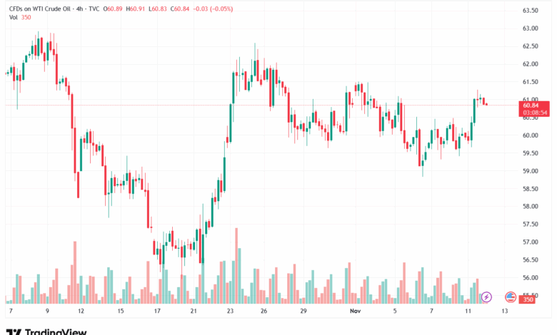 تحليل النفط CRUDE OIL -12-11-2025