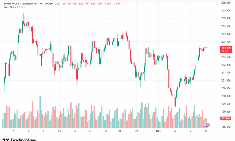 تحليل-GBPJPY-11-11-2025
