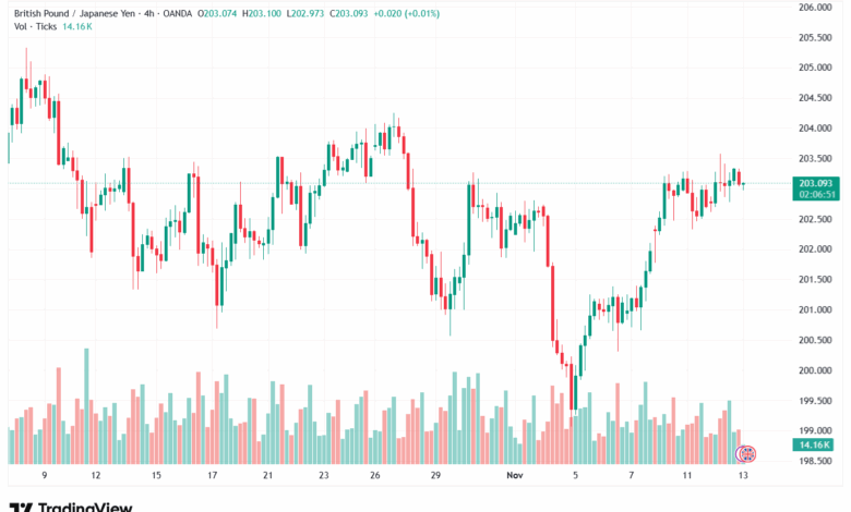 تحليل-GBPJPY-13-11-2025