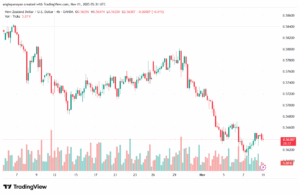 تحليل-NZDUSD-11-11-2025