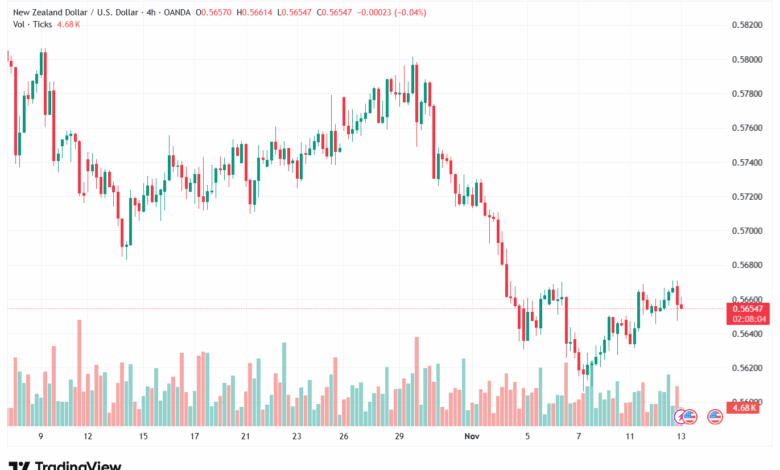 تحليل-NZDUSD-13-11-2025
