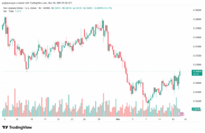 تحليل-NZDUSD-14-11-2025