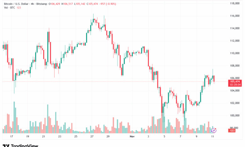 تحليل البتكوين دولار BTCUSD-11-11-2025