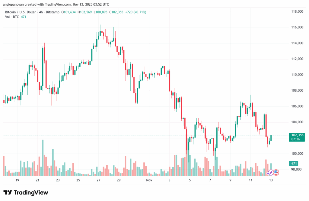 تحليل البتكوين دولار BTCUSD-13-11-2025