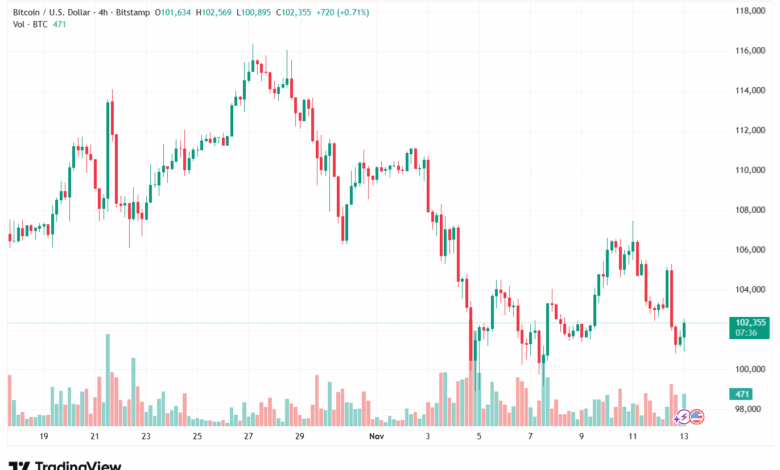 تحليل البتكوين دولار BTCUSD-13-11-2025