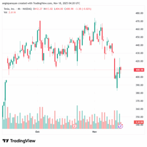 تحليل سهم تسلا الفني TSLA -18-11-2025