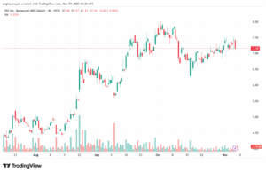 تحليل سهم نيو NIO-7-11-2025