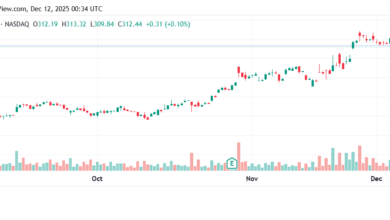 تحليل سهم جوجل الفني Google 12-12-2025